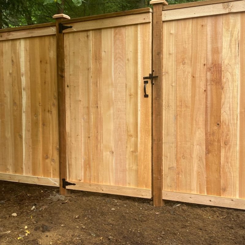 carlos landscaping (34)