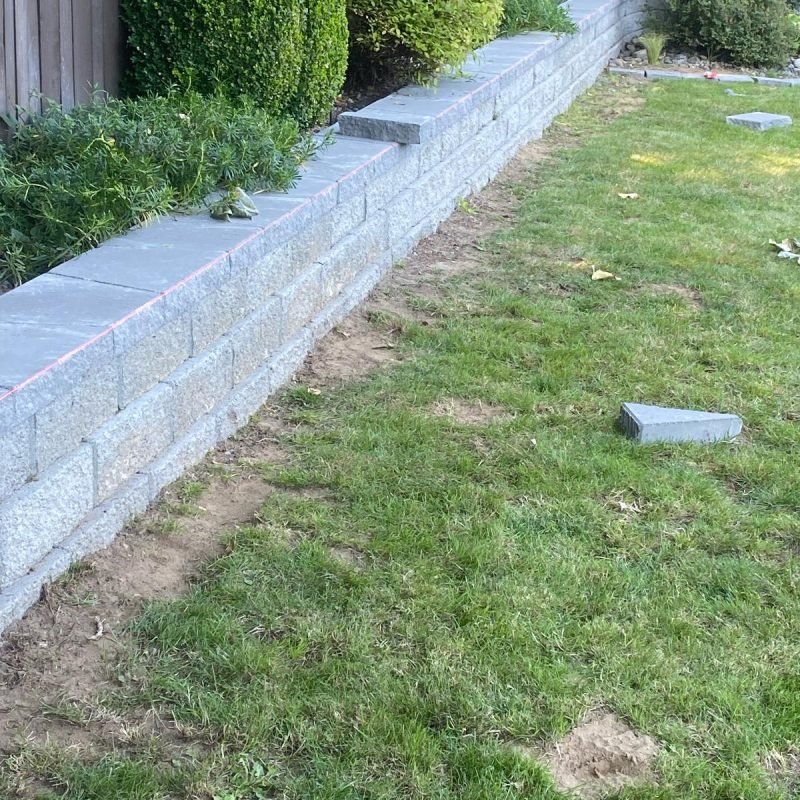 carlos landscaping (42)