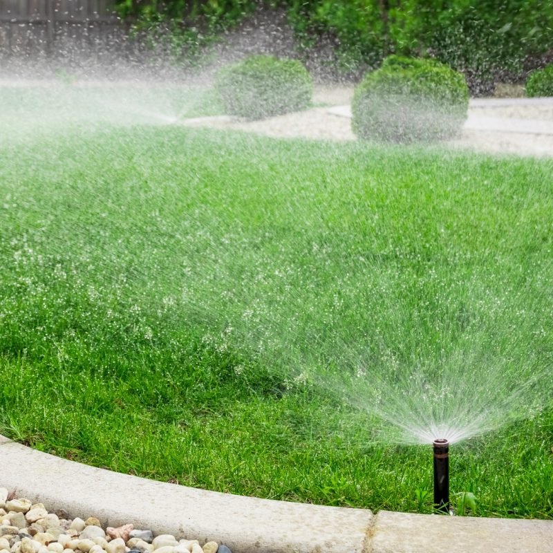 Sprinklers watering lawn